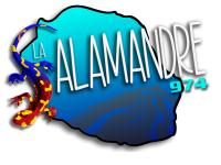 LA SALAMANDRE 974
